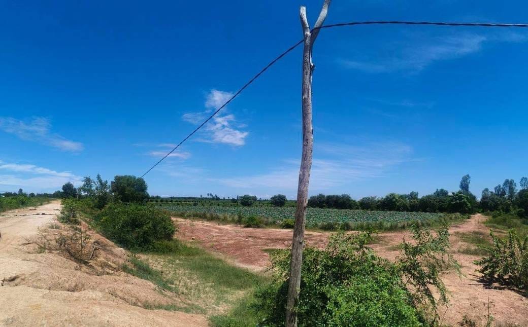 300,000 sqm Land Size Сельскохозяйственные Для Продажи