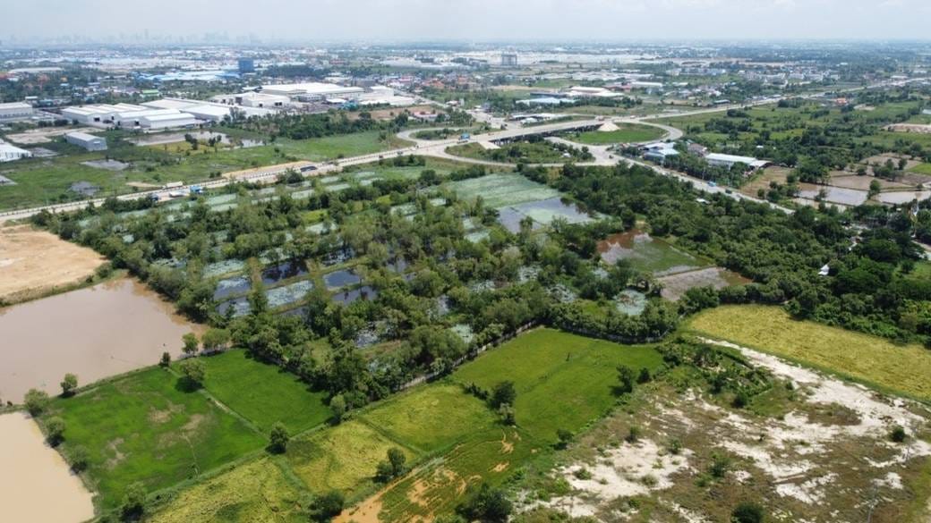 Lot សំរាប់លក់ នៅ ទៀន, ដង្កោរ, ភ្នំពេញ