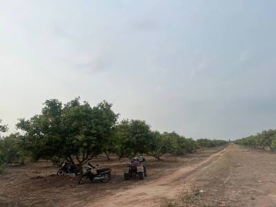Trapeang Prasat Terrain agricole À vendre à Trapeang Prasat