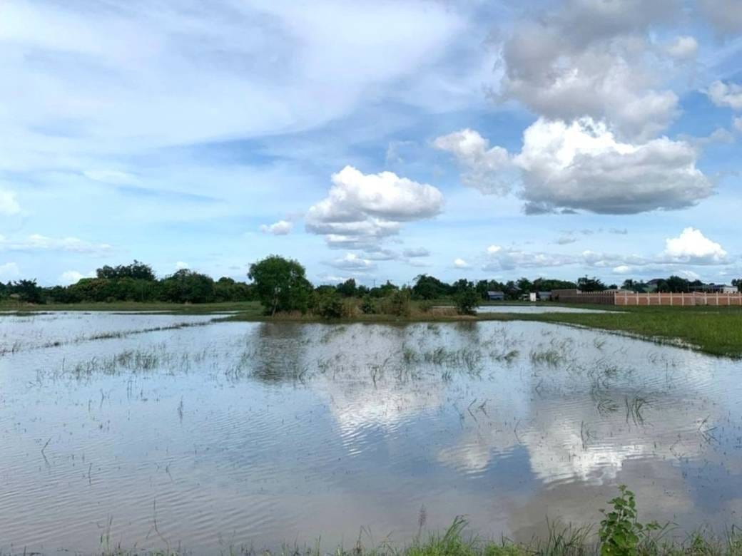 Pozemky Na prodej in Damrei Choan Khla, Stueng Saen, Kampong Thom