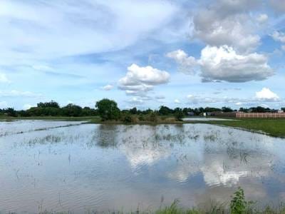 Pozemky Na prodej in Damrei Choan Khla, Stueng Saen, Kampong Thom
