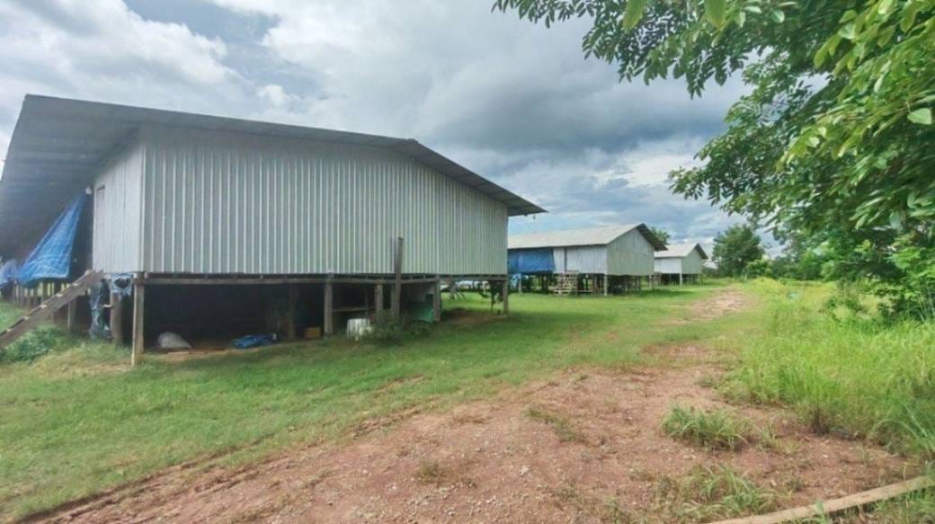 House and lot សំរាប់លក់ នៅ ថ្មី, គូលេន, ព្រះវិហារ