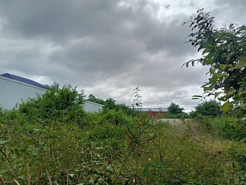 1,700 sqm Land Size Lot For Sale