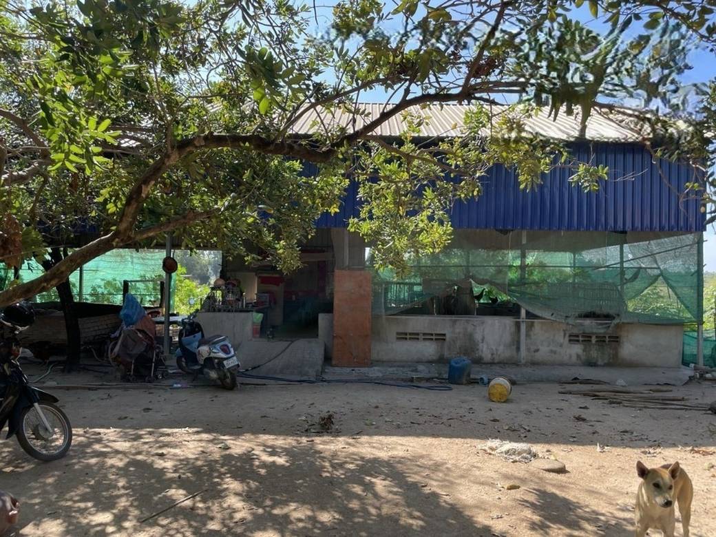 House and lot สำหรับขาย พื้นที่ใช้สอย 250 ตร.ม. ใน Kampong Tralach