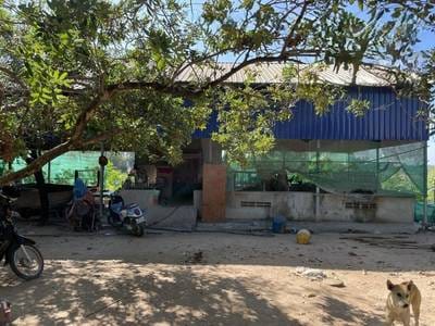House and lot สำหรับขาย พื้นที่ใช้สอย 250 ตร.ม. ใน Kampong Tralach