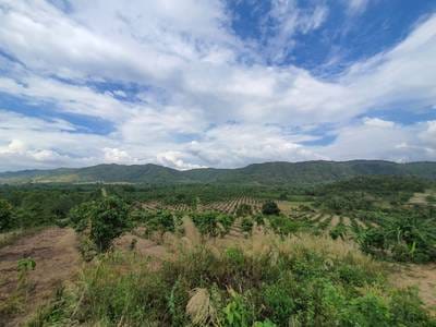 150,000 sqm Land Size Земля Для Продажи