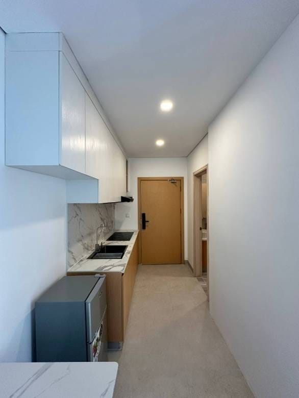 Anata Residence | Furnished Studio For Sale & Rent