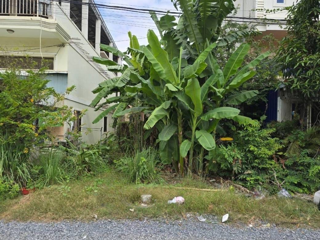 ที่ดิน สำหรับขาย ขนาดที่ดิน 164 ตร.ม.