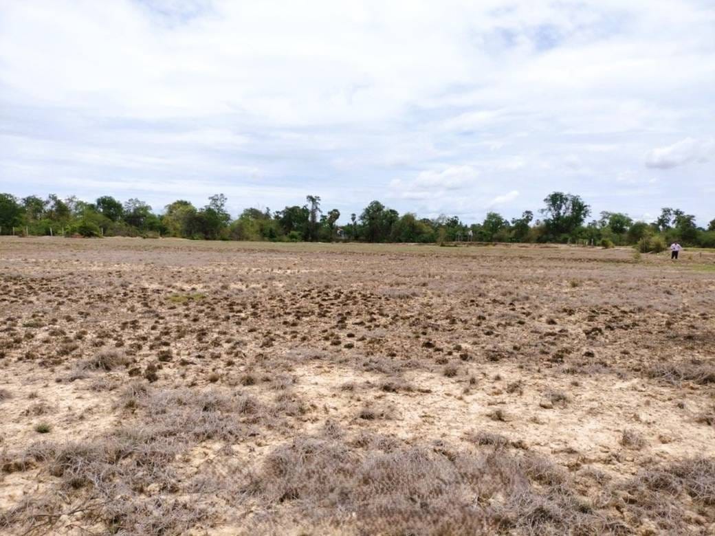 Lot For Sale in Chbar Mon $143,000