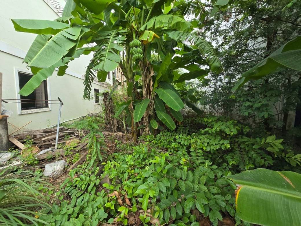 ที่ดิน สำหรับขาย ใน พนมเปญทเมย, แซนสก, พนมเปญ