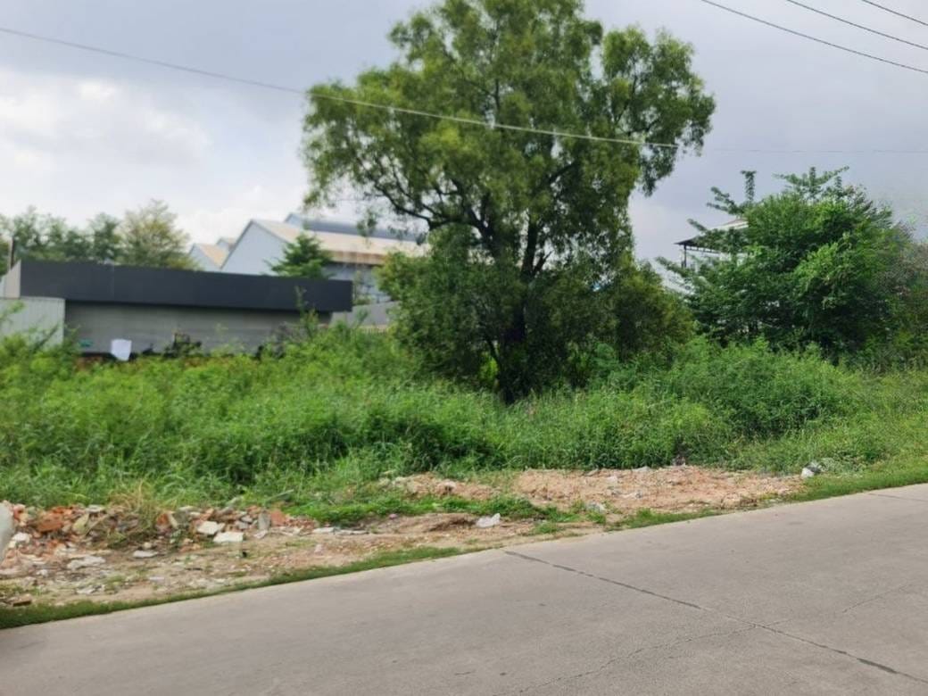 ที่ดิน สำหรับขาย ขนาดที่ดิน 964 ตร.ม.
