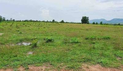Lot For Sale & Rent in Kampong Seila $15,180,000