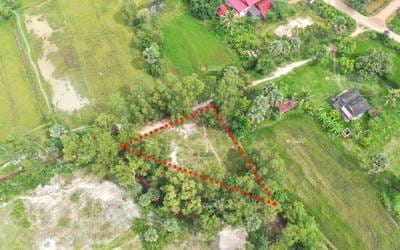 Lot For Sale in Tuek Chhou $16,000