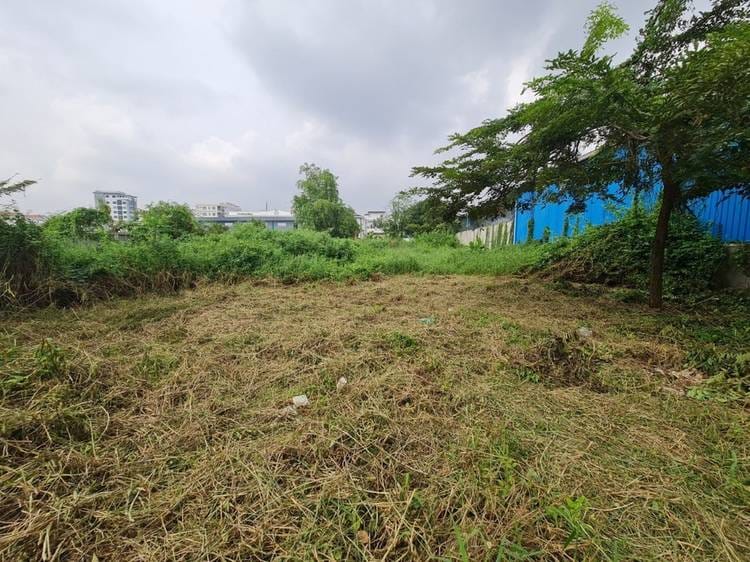 Land For Sale in Phnom Penh Thmey, Sen Sok, Phnom Penh