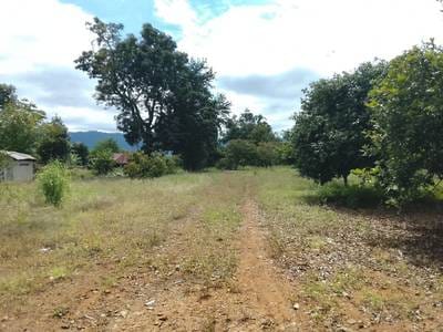 ที่ดิน สำหรับขาย ใน ตวลลเวีย, ไพลิน, ไพลิน