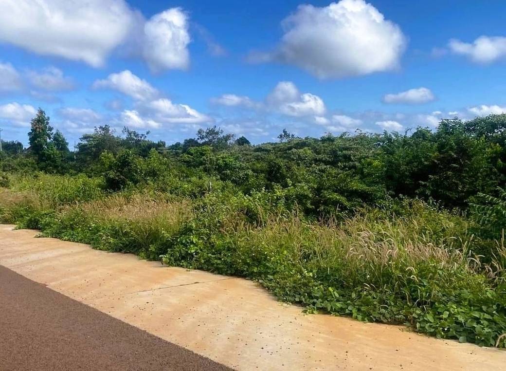 93,915 sqm Land Size Lot For Sale