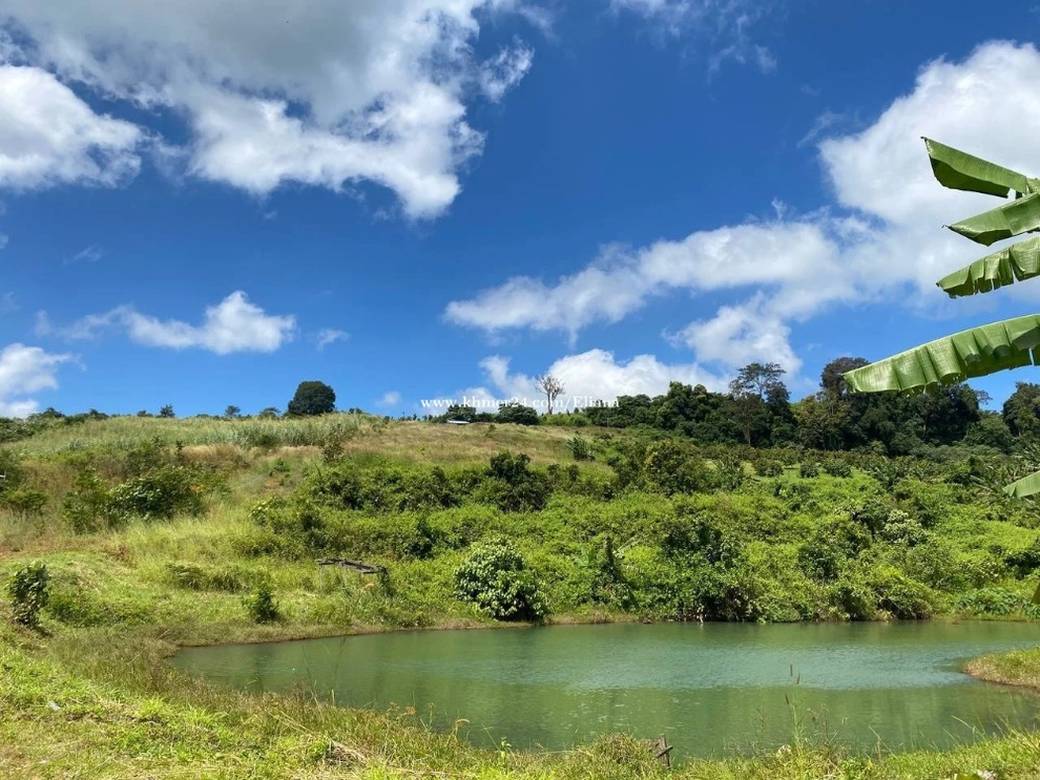 50,000 sqm Land Size Lot For Sale