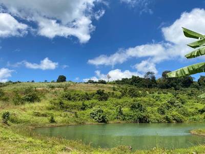 50,000 sqm Land Size Lot For Sale