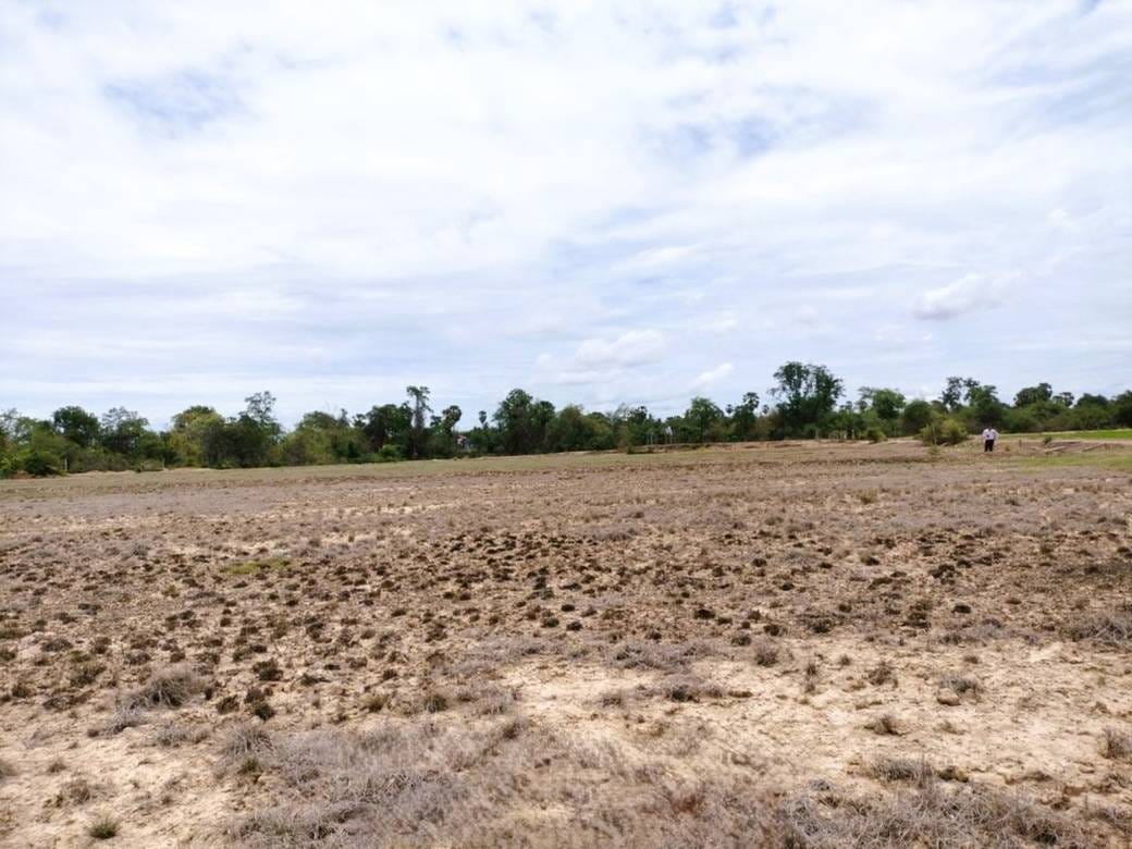Lot For Sale in Kandaol Dom, Chbar Mon, Kampong Speu