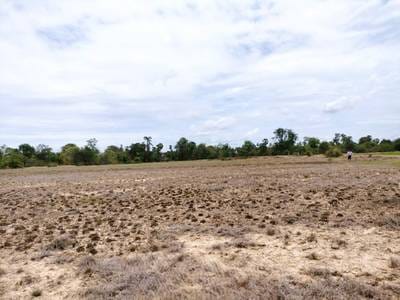 Lot For Sale in Kandaol Dom, Chbar Mon, Kampong Speu