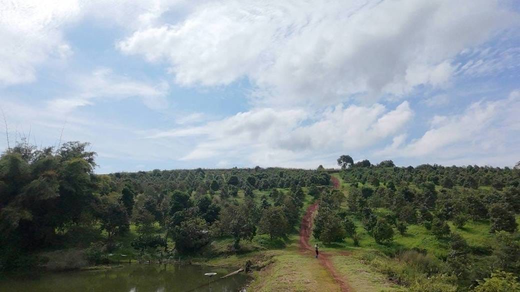 ที่ดิน สำหรับขาย ขนาดที่ดิน 200,000 ตร.ม.