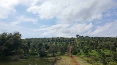 ที่ดิน สำหรับขาย ขนาดที่ดิน 200,000 ตร.ม.