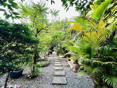 Apartment For Rent in Battambang $499