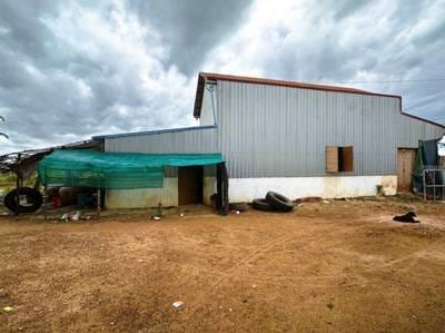 대지면적 1,079㎡ House and lot 매매