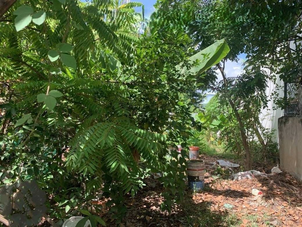 Działka Na sprzedaż w Chaom Chau 3, Por Sen Chey, Phnom Penh