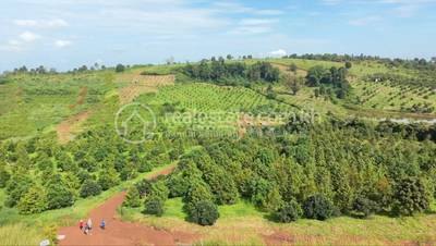Lot For Sale in Saen Monourom $175,000