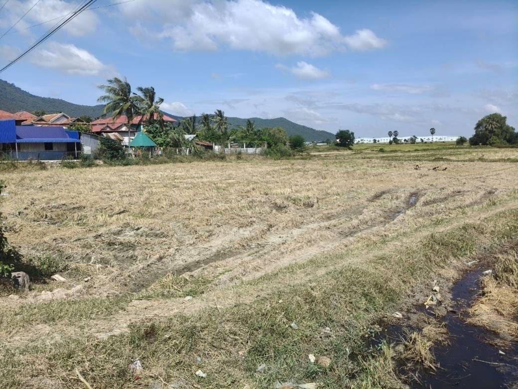 ที่ดิน สำหรับขาย ขนาดที่ดิน 1,903 ตร.ม.
