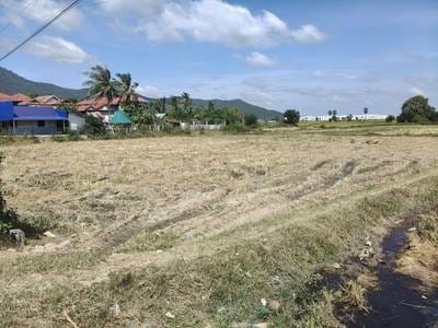 ที่ดิน สำหรับขาย ขนาดที่ดิน 1,903 ตร.ม.