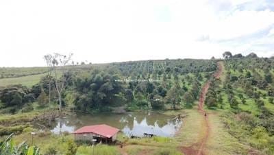 Lot For Sale in Monourom, Saen Monourom, Mondulkiri