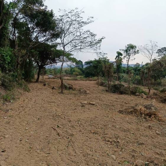 Land For Sale in Kep
