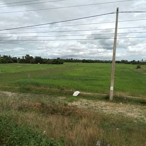 ที่ดิน สำหรับขาย ขนาดที่ดิน 80,966 ตร.ม.