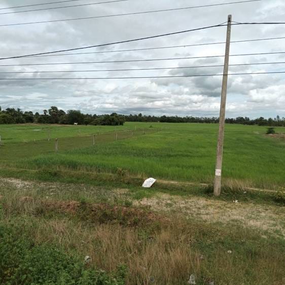 ที่ดิน สำหรับขาย ขนาดที่ดิน 80,966 ตร.ม.