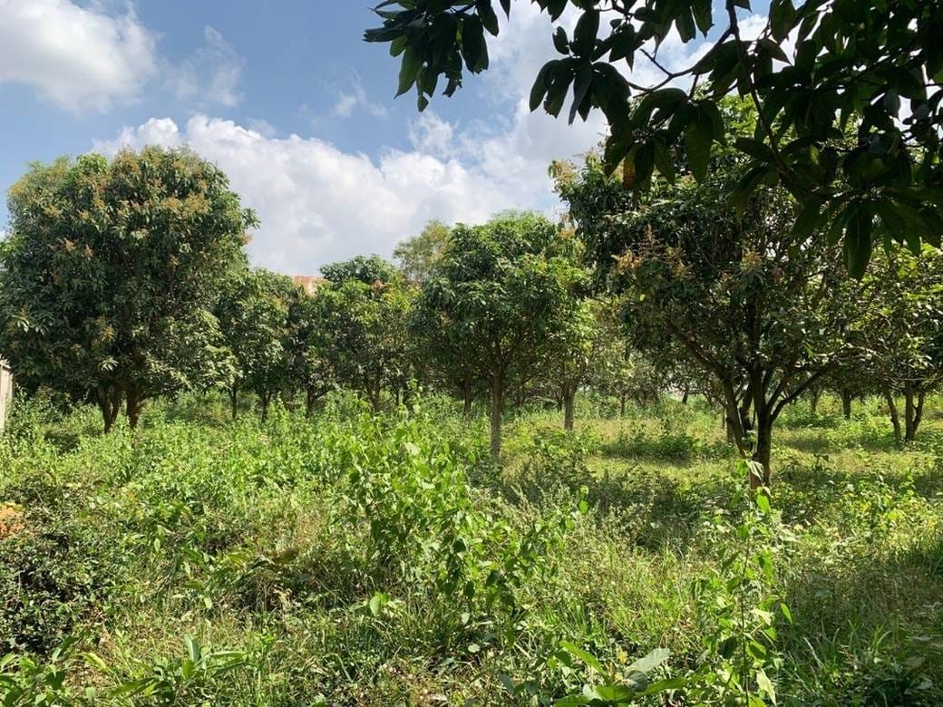 Kampong Trach土地出售，价格$780,000