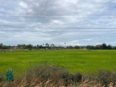 土地面積3,000㎡の土地売り物件