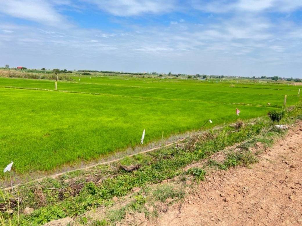 Relief À vendre de 16,984 m² de terrain