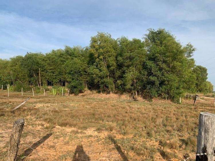 Land For Sale in Srangae, Siem Reap