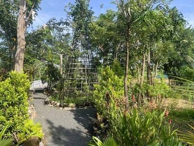 43,597 sqm Land Size Business For Sale