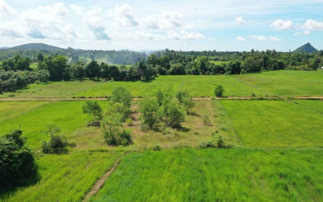 Lot For Sale in Tuek Chhou $43,000