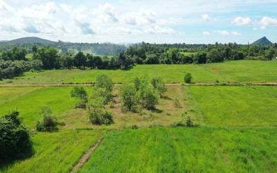 Lot For Sale in Tuek Chhou $43,000