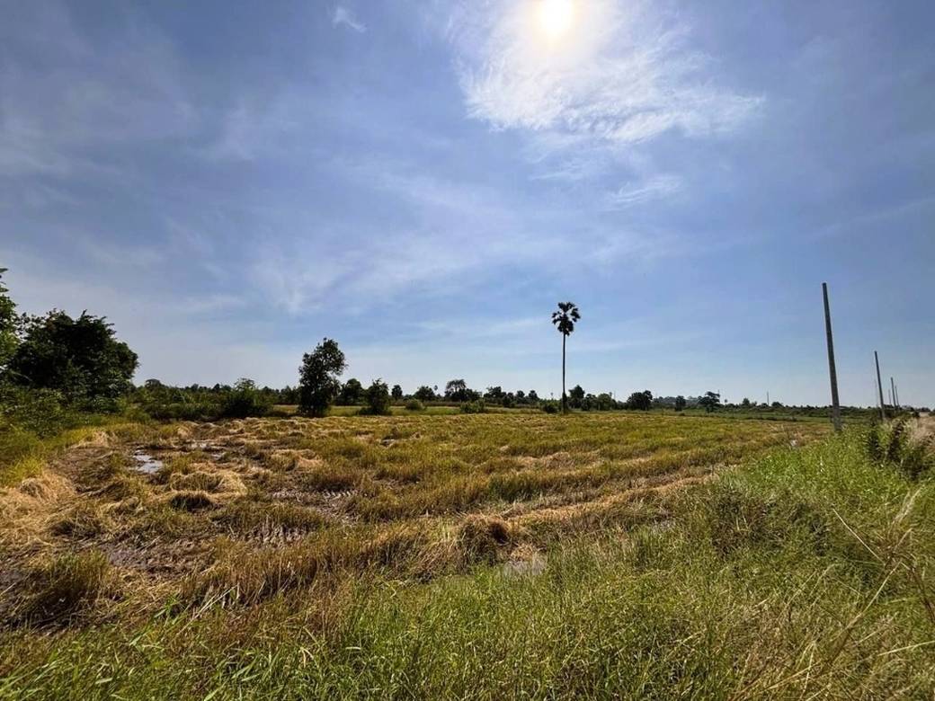 Lot For Sale in Sak Sampov, Dangkao, Phnom Penh