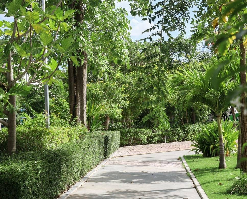 House and lot For Sale & Rent ใน Baek Chan, อังสนวล, กันดาล