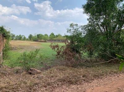 ที่ดิน สำหรับขาย ใน ชุมเกรียล, ตึกชู, กัมปอต