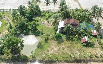 Lot สำหรับขาย ใน, เปรยขมุม, ตึกชู, กัมปอต