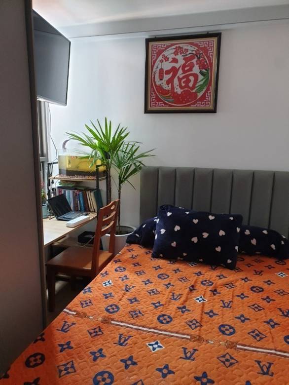 Toul Kork Lane | คอนโด For Sale & Rent ขนาดที่ดิน 26.11 ตร.ม.