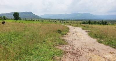 Kampong SeilaLot出售，位于Kampong Seila