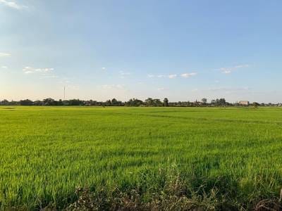 10,000 sqm Land Size Lot For Sale